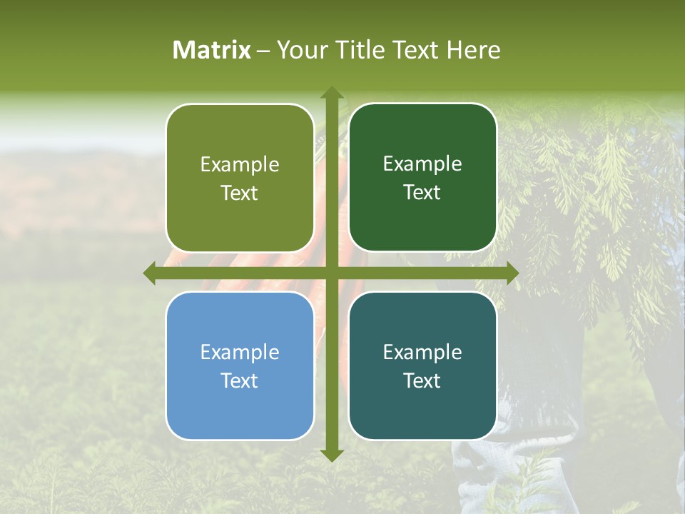 Plant  Agriculture PowerPoint Template