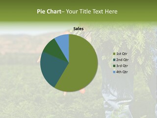 Plant  Agriculture PowerPoint Template