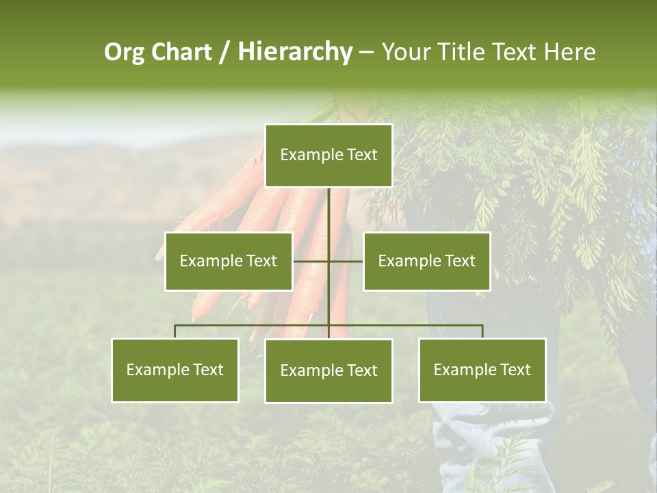 Plant  Agriculture PowerPoint Template