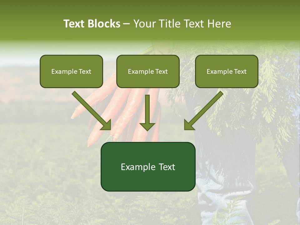 Plant  Agriculture PowerPoint Template