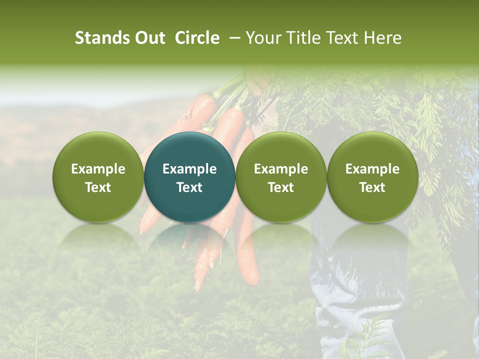 Plant  Agriculture PowerPoint Template