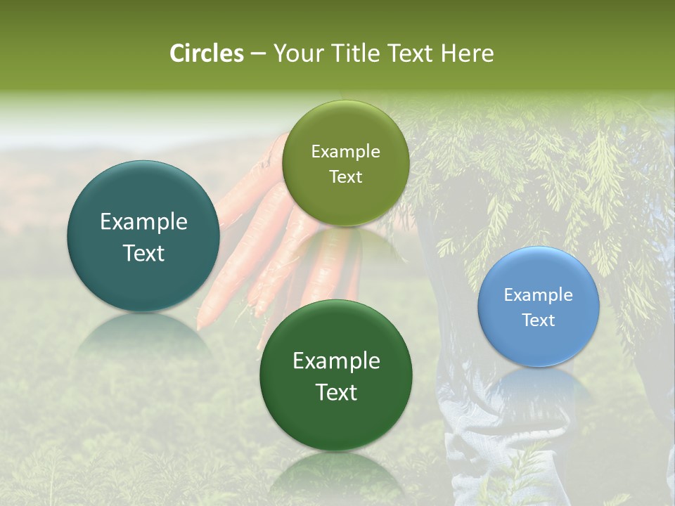 Plant  Agriculture PowerPoint Template