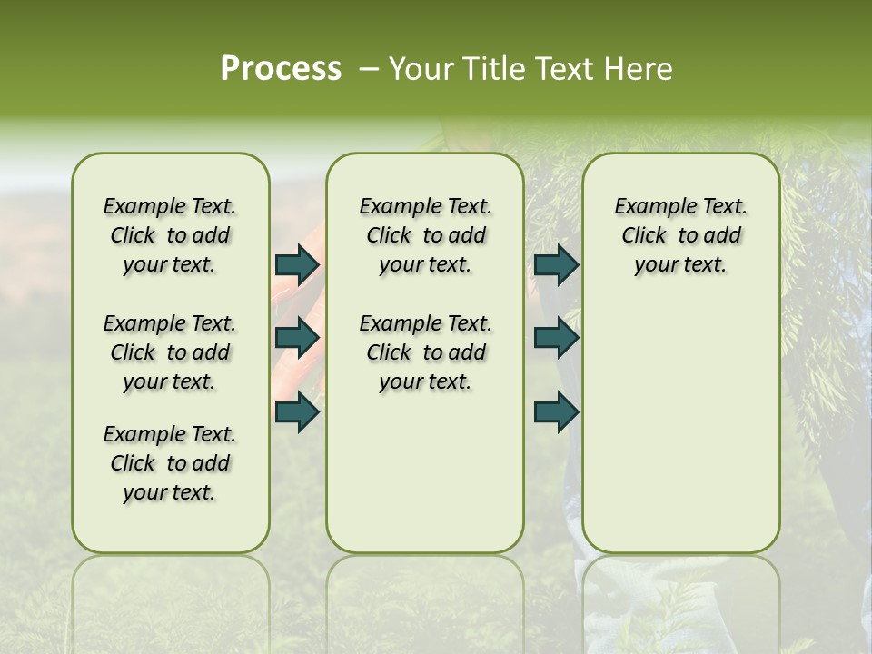 Plant  Agriculture PowerPoint Template