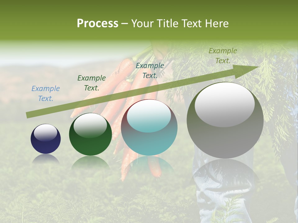 Plant  Agriculture PowerPoint Template