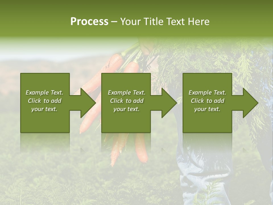 Plant  Agriculture PowerPoint Template