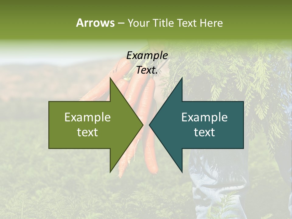 Plant  Agriculture PowerPoint Template