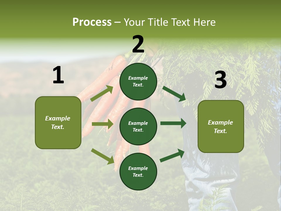 Plant  Agriculture PowerPoint Template