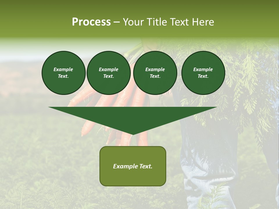 Plant  Agriculture PowerPoint Template
