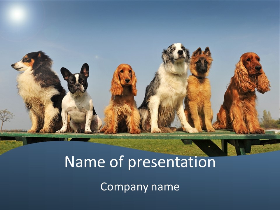 Sky Canine Dog PowerPoint Template