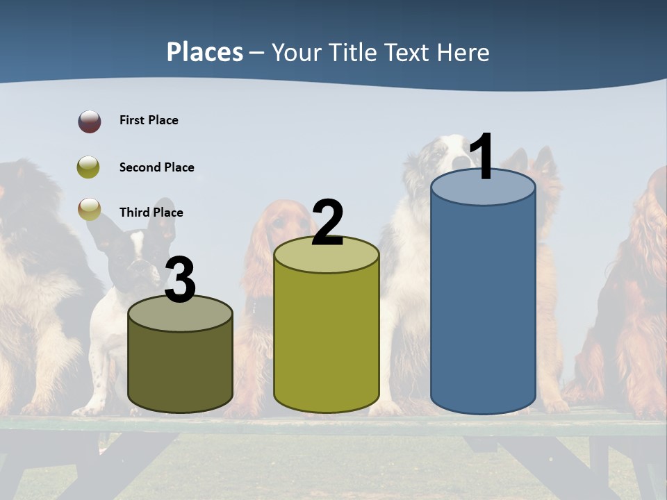 Sky Canine Dog PowerPoint Template