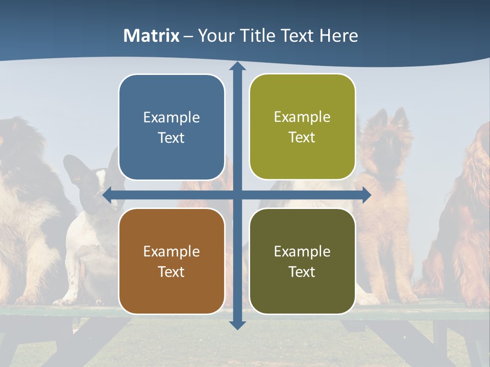 Sky Canine Dog PowerPoint Template