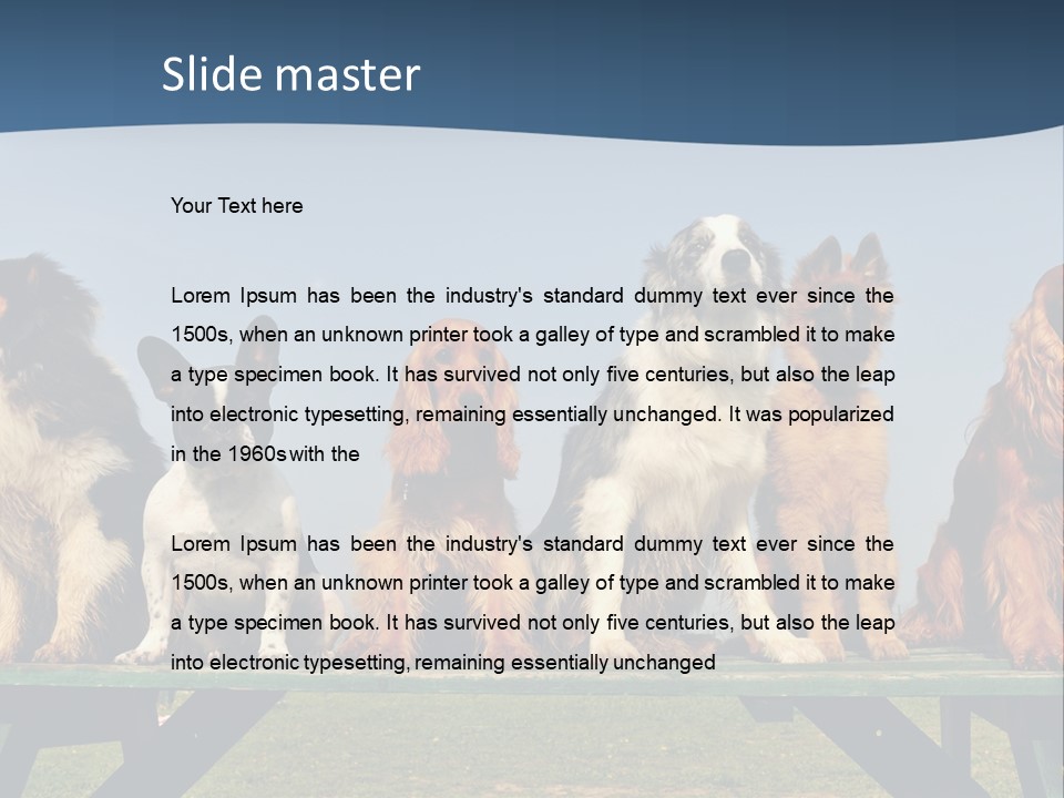 Sky Canine Dog PowerPoint Template