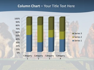 Sky Canine Dog PowerPoint Template