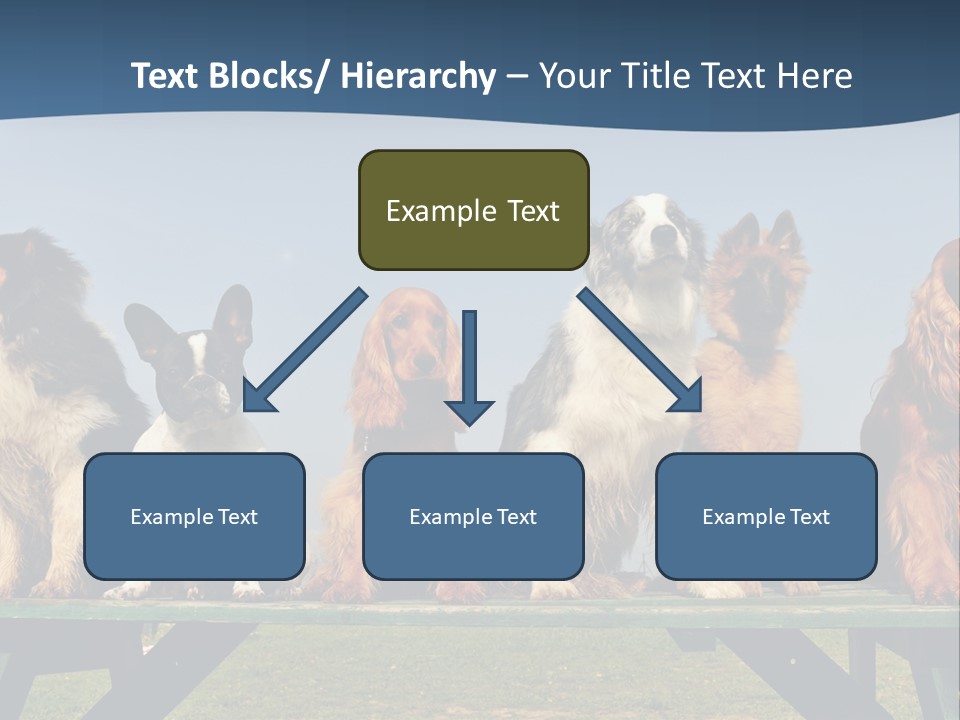 Sky Canine Dog PowerPoint Template