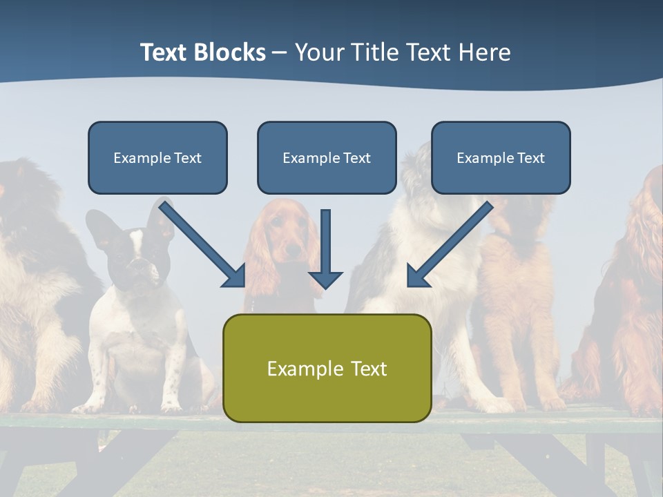 Sky Canine Dog PowerPoint Template