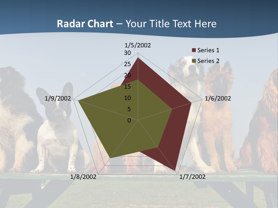 Sky Canine Dog PowerPoint Template