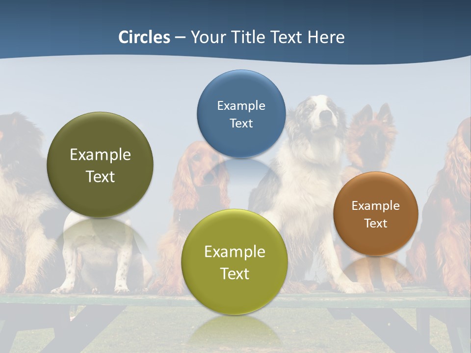 Sky Canine Dog PowerPoint Template