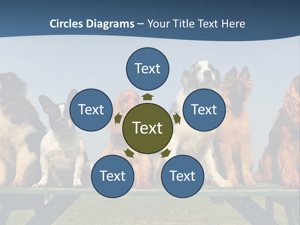 Sky Canine Dog PowerPoint Template