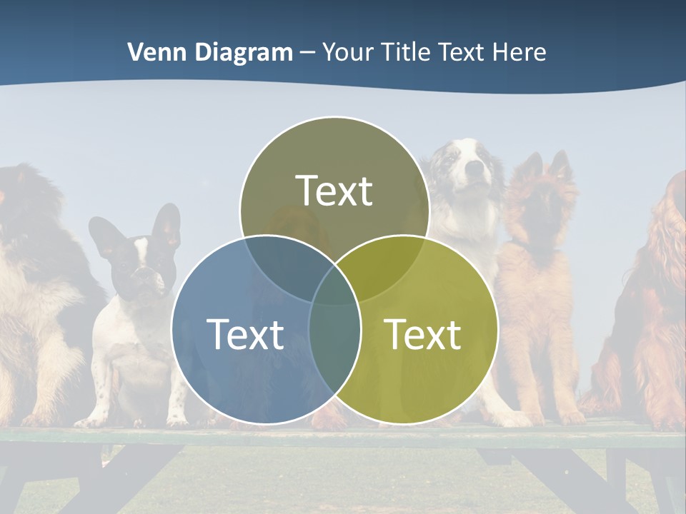 Sky Canine Dog PowerPoint Template