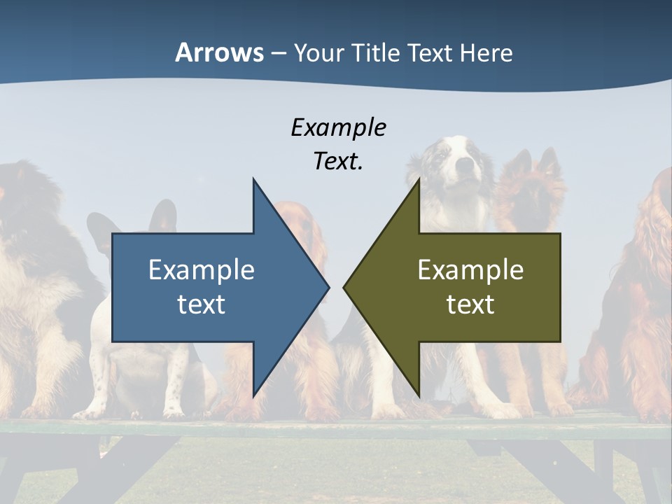 Sky Canine Dog PowerPoint Template