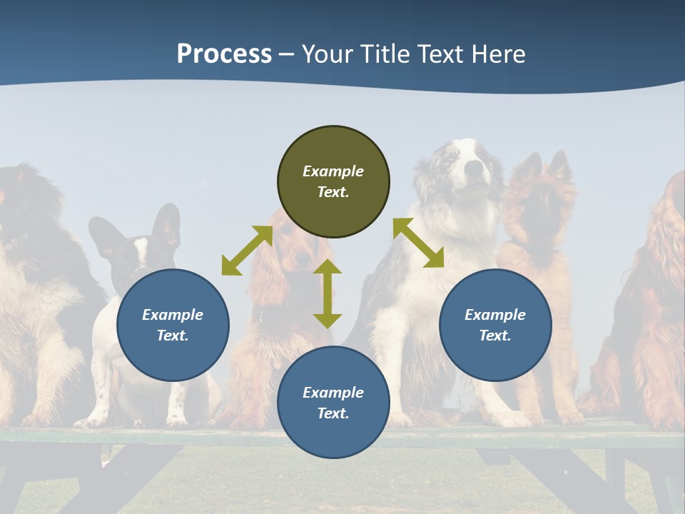 Sky Canine Dog PowerPoint Template