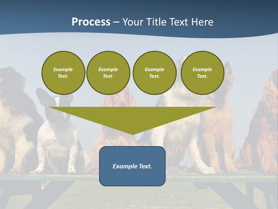 Sky Canine Dog PowerPoint Template