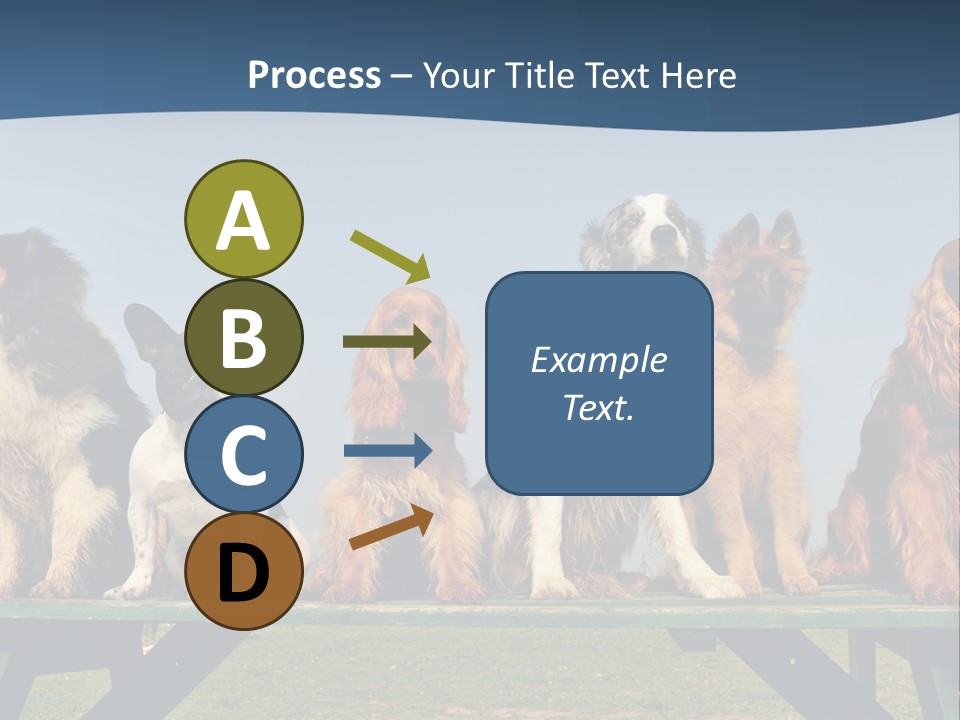 Sky Canine Dog PowerPoint Template