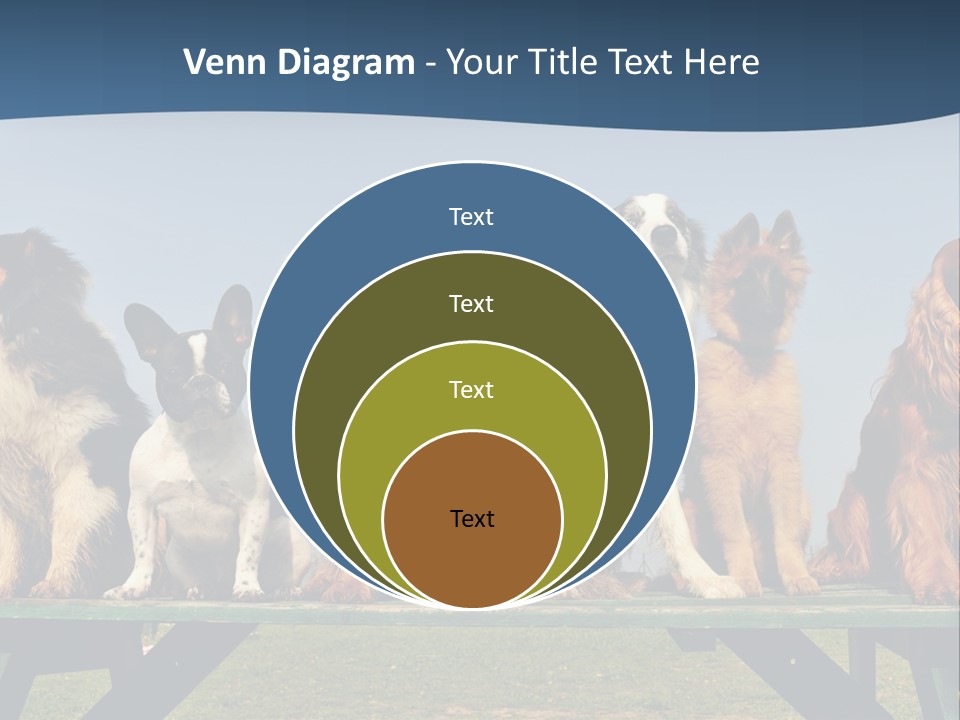 Sky Canine Dog PowerPoint Template