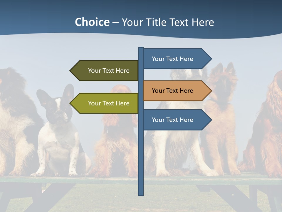 Sky Canine Dog PowerPoint Template