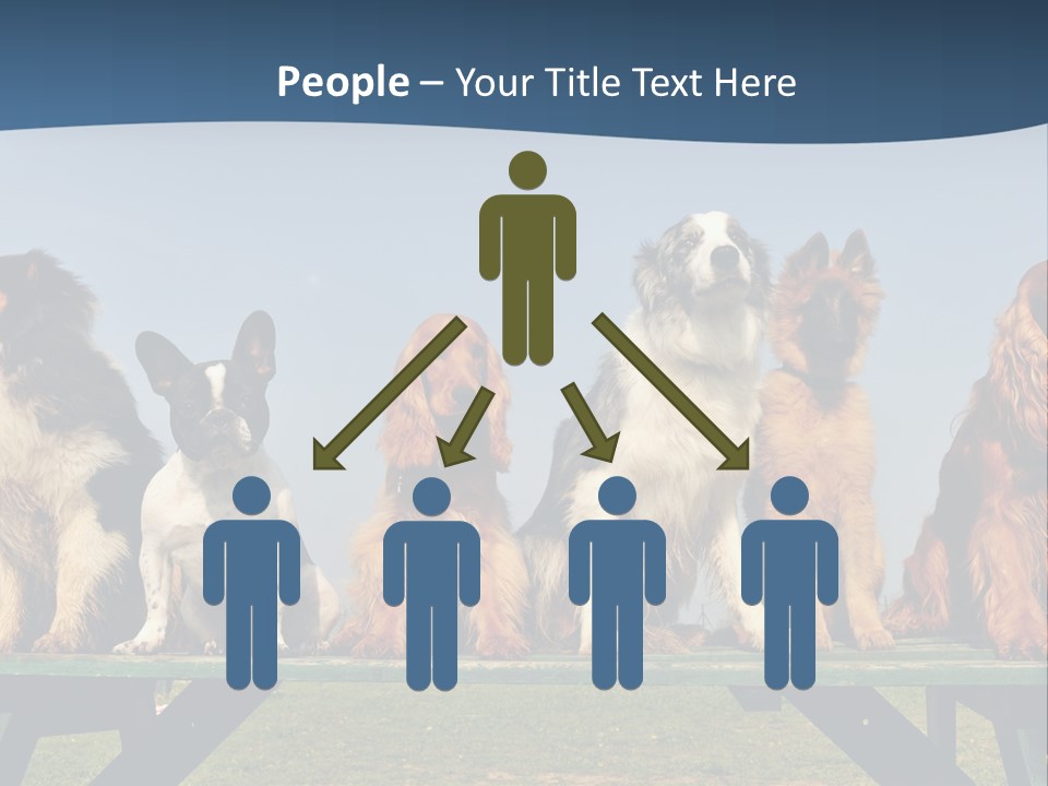 Sky Canine Dog PowerPoint Template