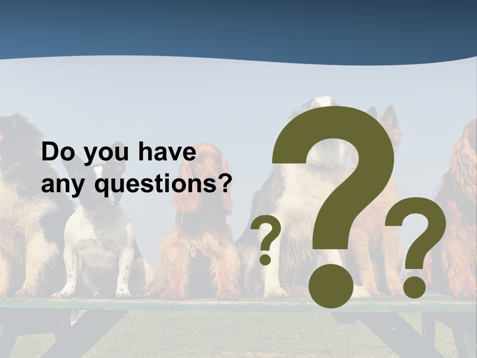 Sky Canine Dog PowerPoint Template