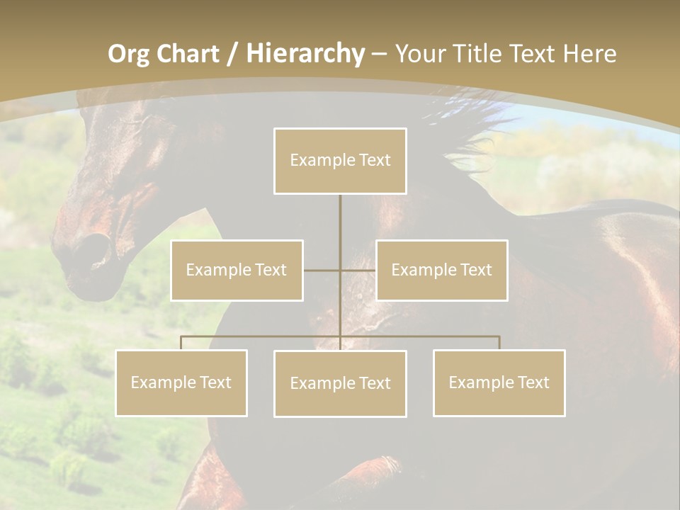 Outdoor Exterior Fast PowerPoint Template