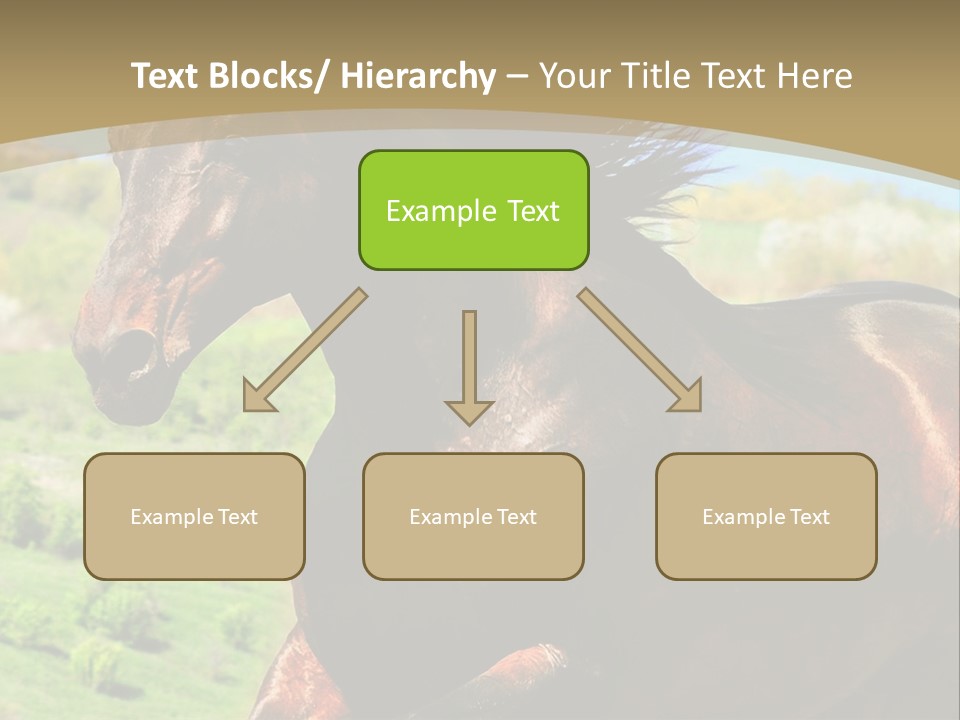 Outdoor Exterior Fast PowerPoint Template