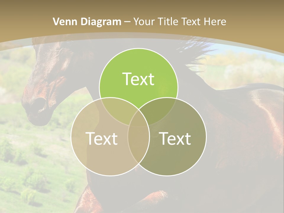 Outdoor Exterior Fast PowerPoint Template