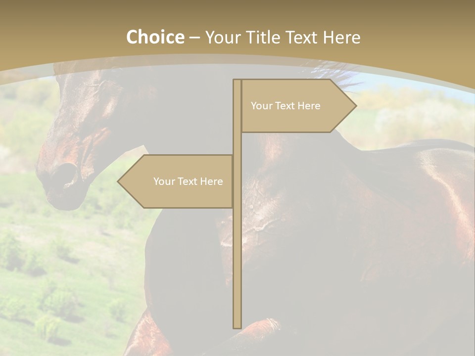 Outdoor Exterior Fast PowerPoint Template
