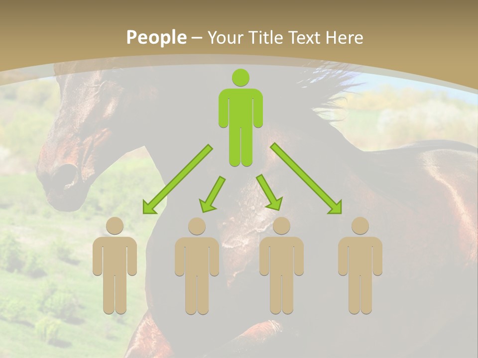 Outdoor Exterior Fast PowerPoint Template