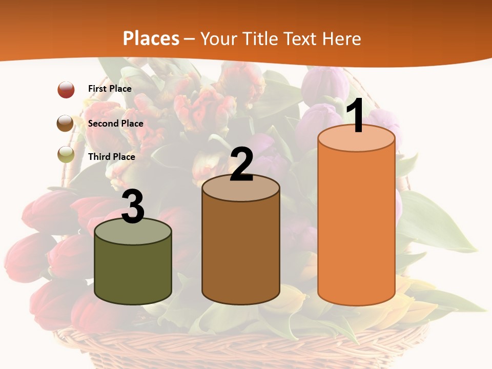 Diversity Assortment Handle PowerPoint Template