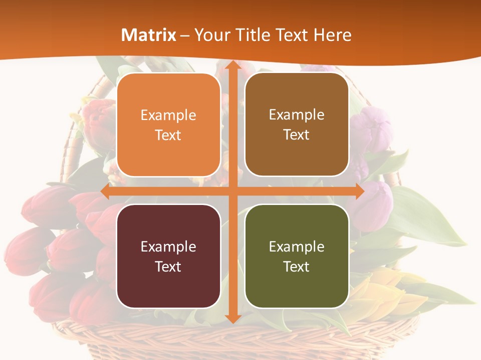 Diversity Assortment Handle PowerPoint Template