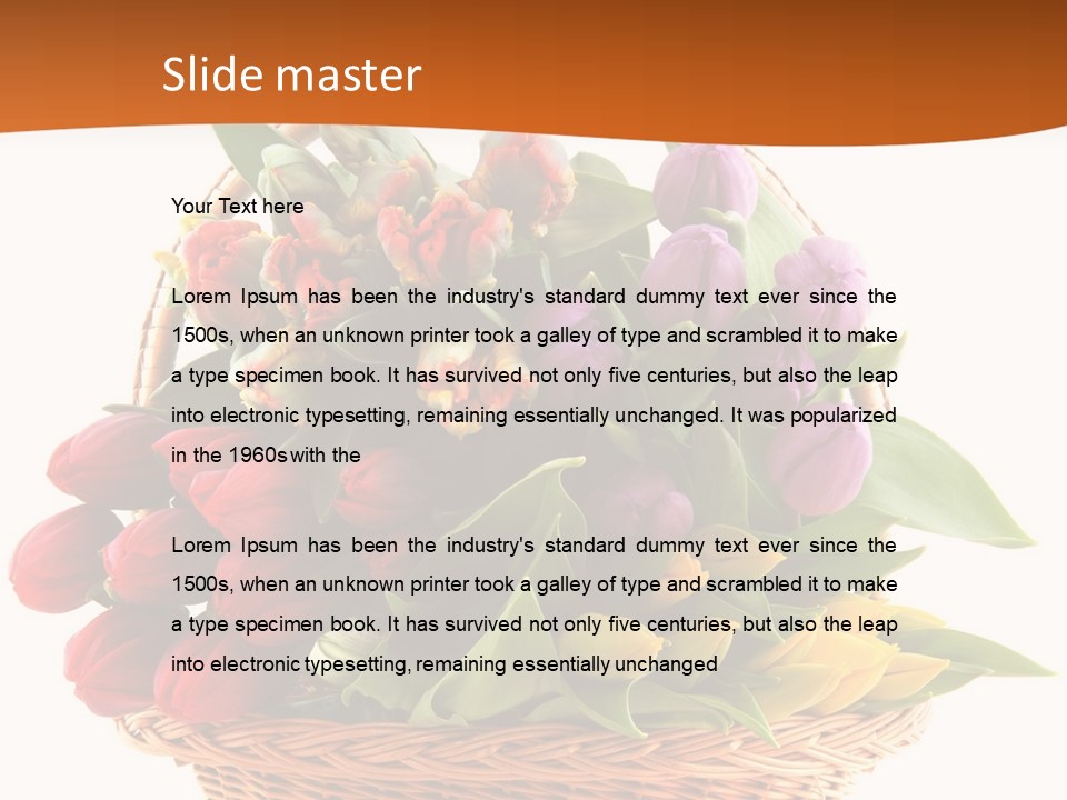 Diversity Assortment Handle PowerPoint Template