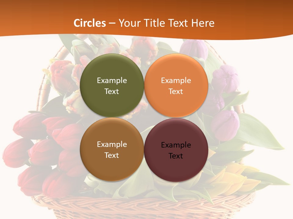 Diversity Assortment Handle PowerPoint Template