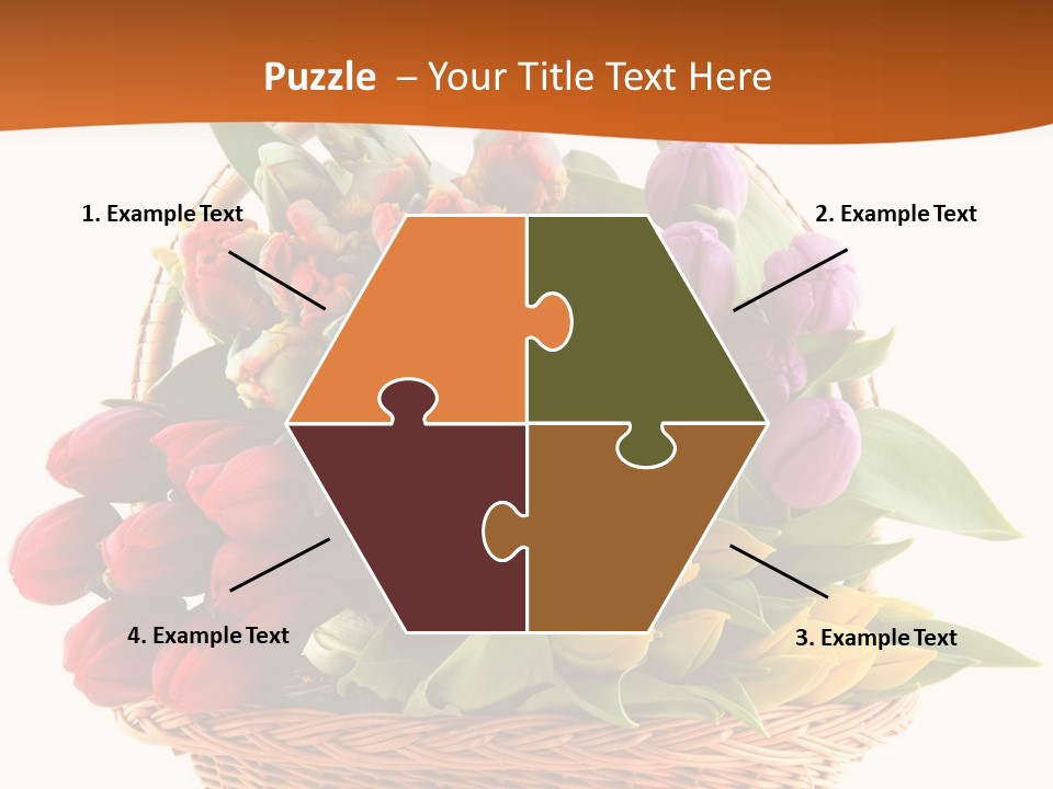 Diversity Assortment Handle PowerPoint Template