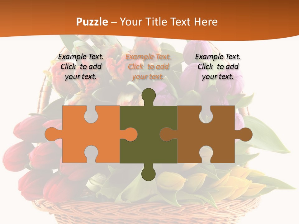 Diversity Assortment Handle PowerPoint Template