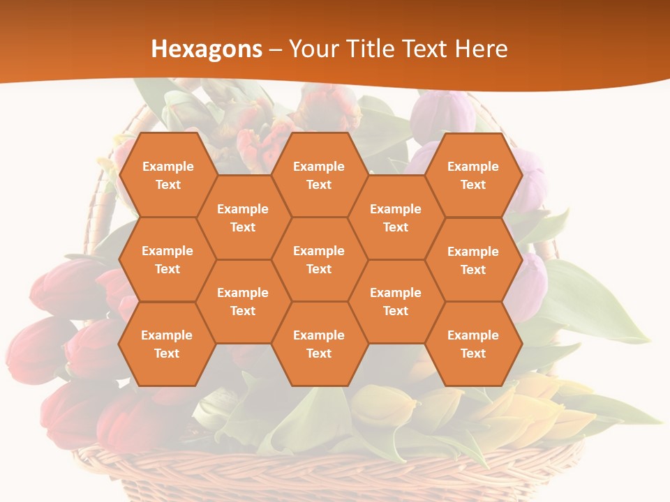Diversity Assortment Handle PowerPoint Template