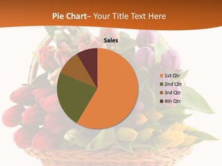 Diversity Assortment Handle PowerPoint Template