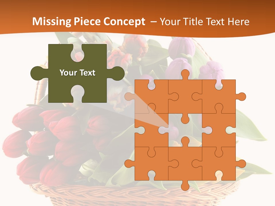 Diversity Assortment Handle PowerPoint Template