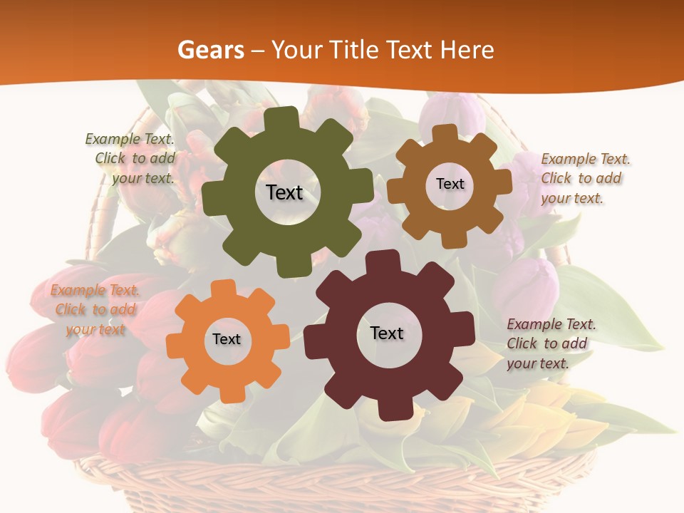 Diversity Assortment Handle PowerPoint Template