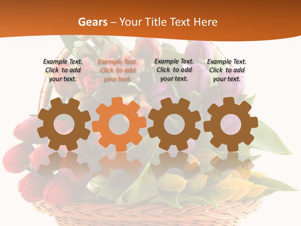 Diversity Assortment Handle PowerPoint Template