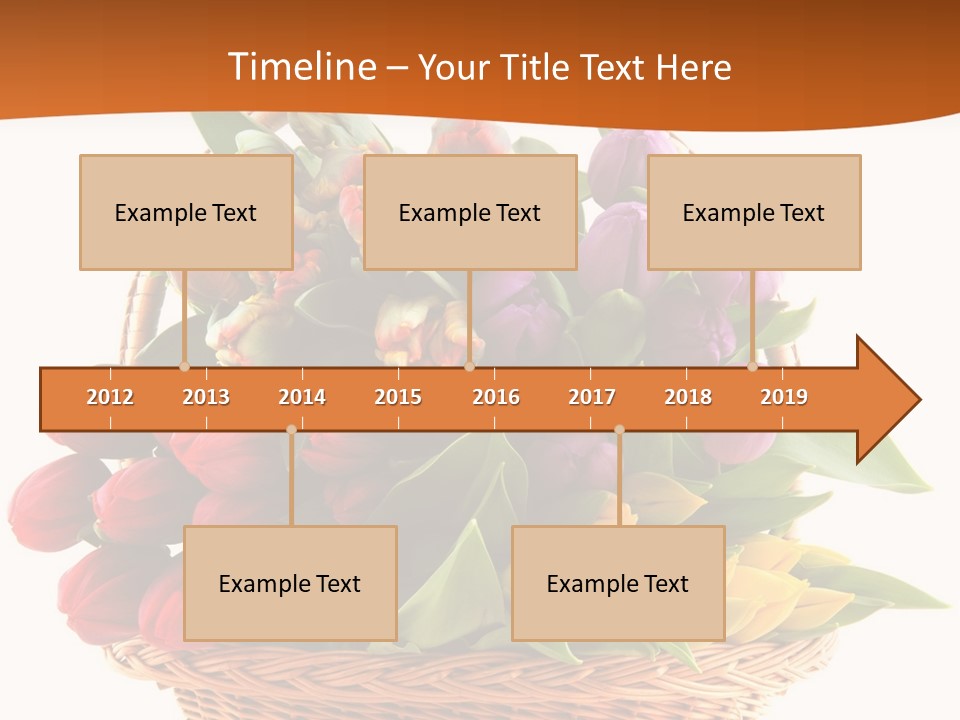 Diversity Assortment Handle PowerPoint Template