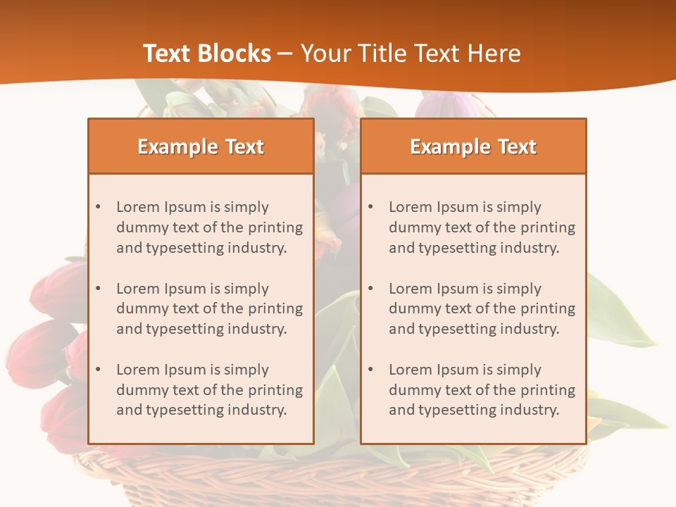 Diversity Assortment Handle PowerPoint Template