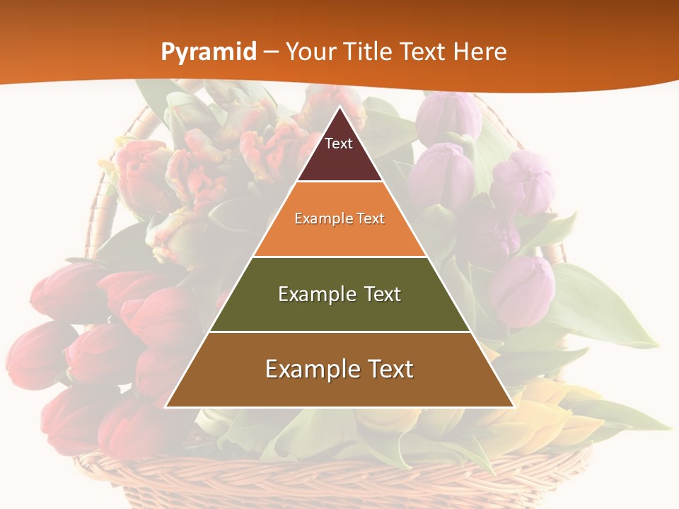 Diversity Assortment Handle PowerPoint Template